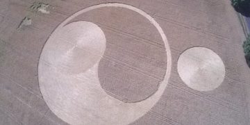 Orchowo: Pierwszy piktogram od kilku lat