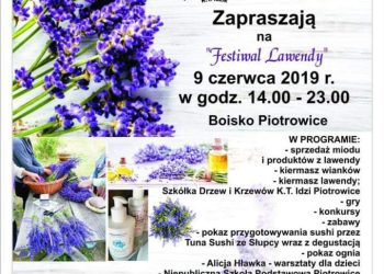 Festiwal lawendy w Piotrowicach
