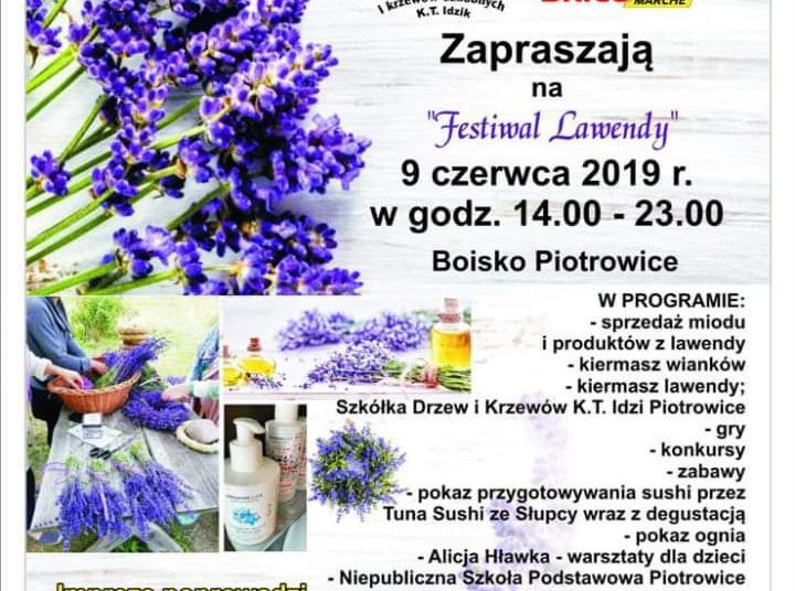Festiwal lawendy w Piotrowicach