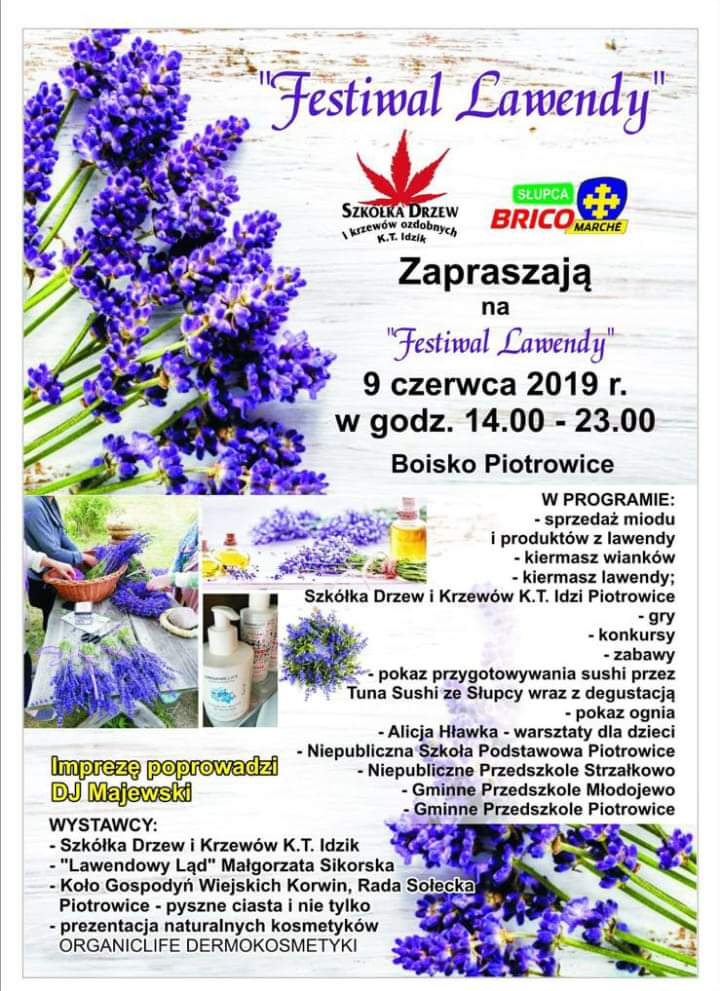 Festiwal lawendy w Piotrowicach