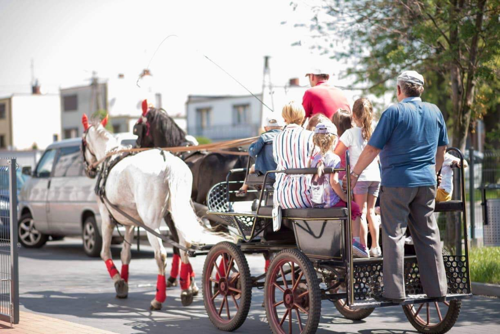 Strzałkowskie przedszkolaki ze swoim ulubieńcem