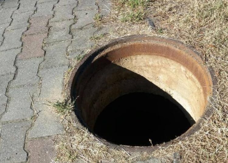 W Powidzu kradną włazy. Wójt apeluje