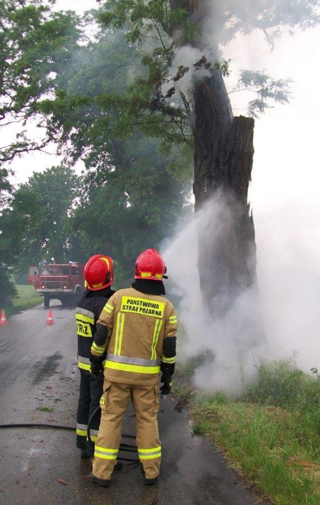 Piorun uderzył w drzewo. Wybuchł pożar