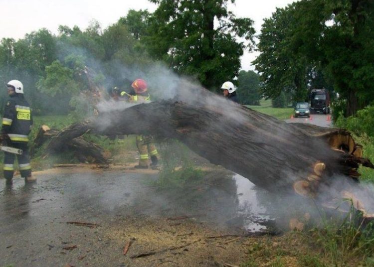 Piorun uderzył w drzewo. Wybuchł pożar