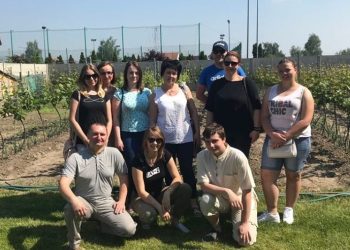 W strzałkowskiej winnicy