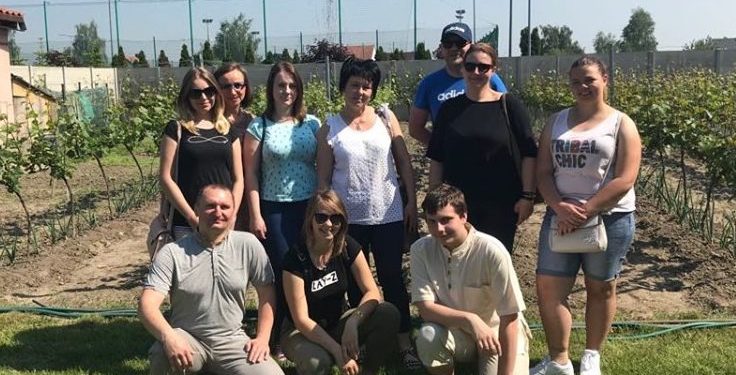 W strzałkowskiej winnicy