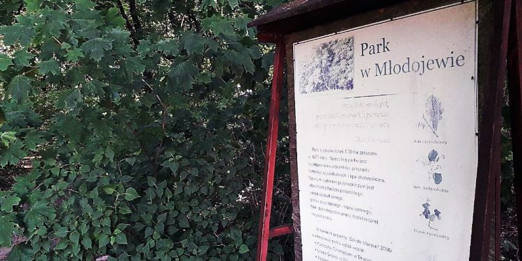 Park w Młodojewie: „Strach tam wejść”