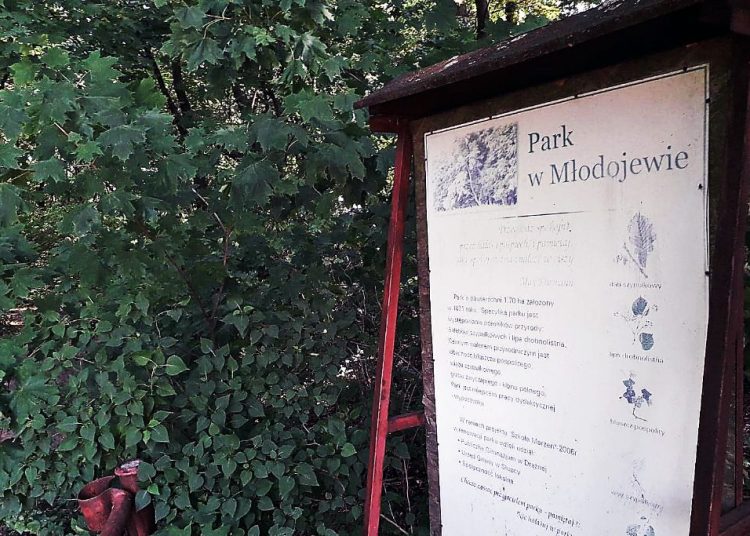 Park w Młodojewie: „Strach tam wejść”