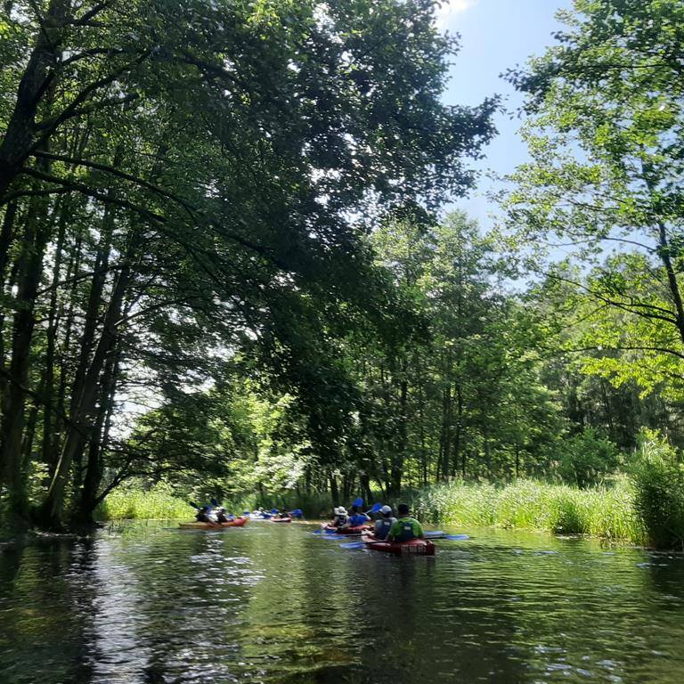 Spływ kajakowy PIŁAWA 2019