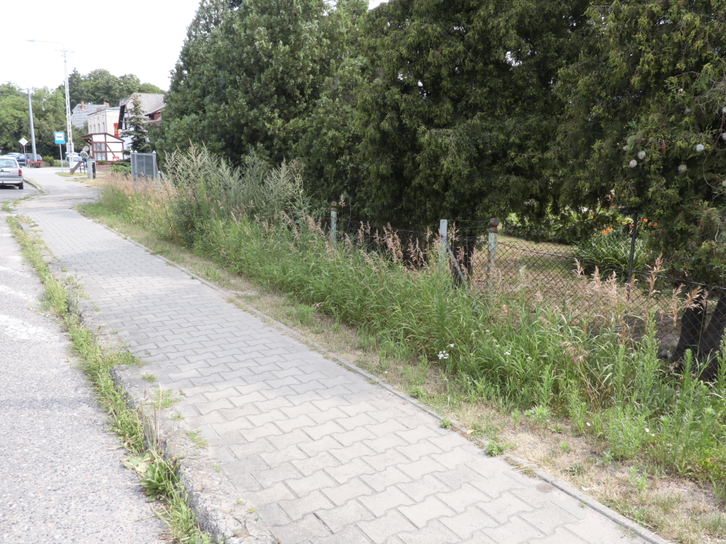 Wizytówka centrum Orchowa ZDJĘCIA