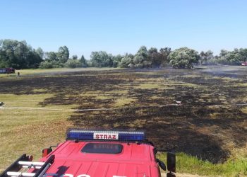 Wczoraj tam się paliło. Dziś znowu pojawił się ogień
