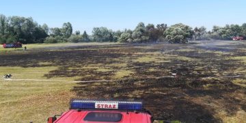 Wczoraj tam się paliło. Dziś znowu pojawił się ogień