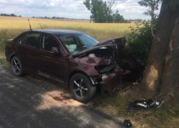 Uderzył w drzewo, trafił do szpitala