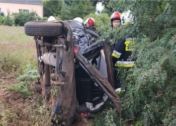 Wypadł z drogi, uderzył w drzewo ZDJĘCIA