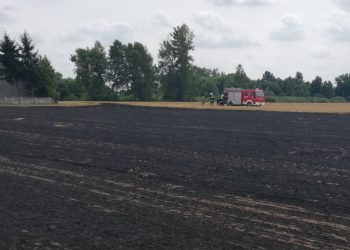 Pożar w Szyszłowie. Spaliło się ściernisko
