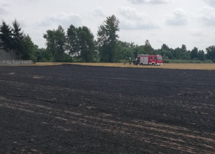 Pożar w Szyszłowie. Spaliło się ściernisko