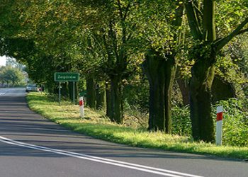 Sąsiad pobił sąsiada