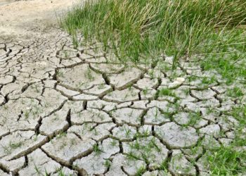 Wnioski tylko do piątku