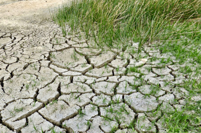 Wnioski tylko do piątku
