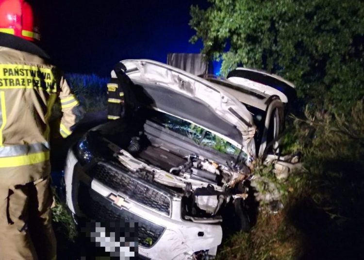 Zjechał do rowu i uderzył w drzewo ZDJĘCIA