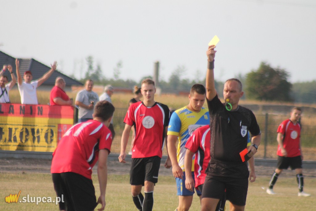 Pierwsze śliwki robaczywki…