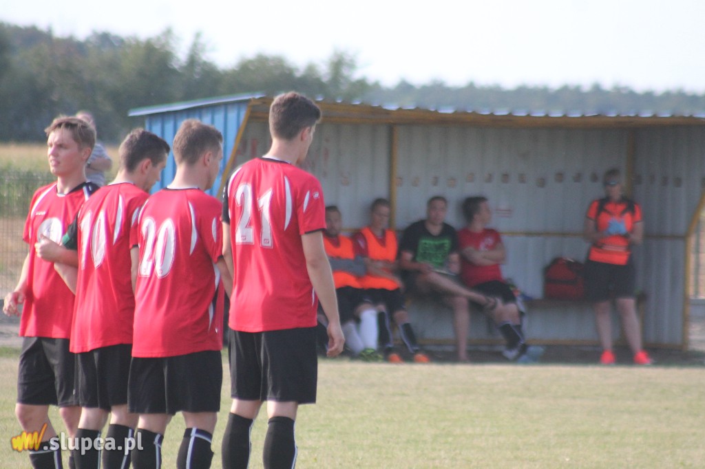 Pierwsze śliwki robaczywki…