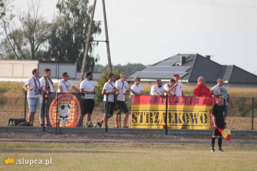 Pierwsze śliwki robaczywki…