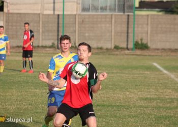 Pierwsze śliwki robaczywki…