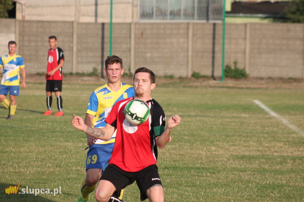 Pierwsze śliwki robaczywki…