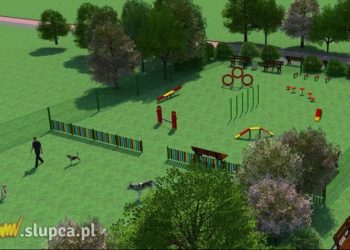 Chcą utworzyć w Słupcy park dla psów