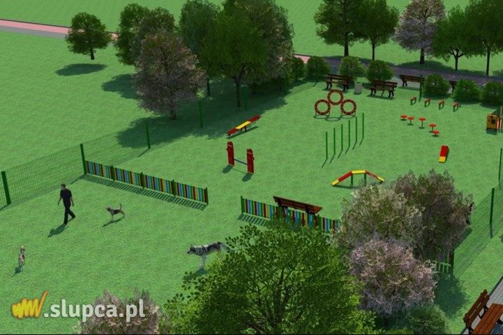 Chcą utworzyć w Słupcy park dla psów
