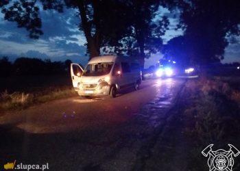 Zderzenie busa z dzikiem