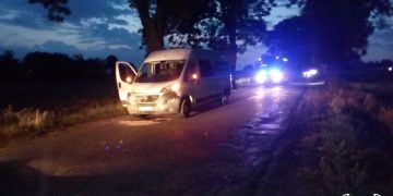 Zderzenie busa z dzikiem