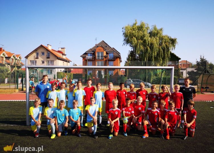 Sparowali z Wilkami Warszawa