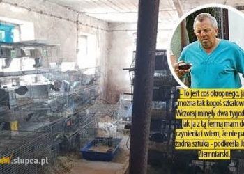 Oskarżają lekarza weterynarii