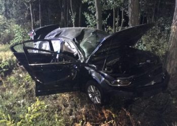 Auto zderzyło się z łosiem. Jedna osoba poważnie ucierpiała