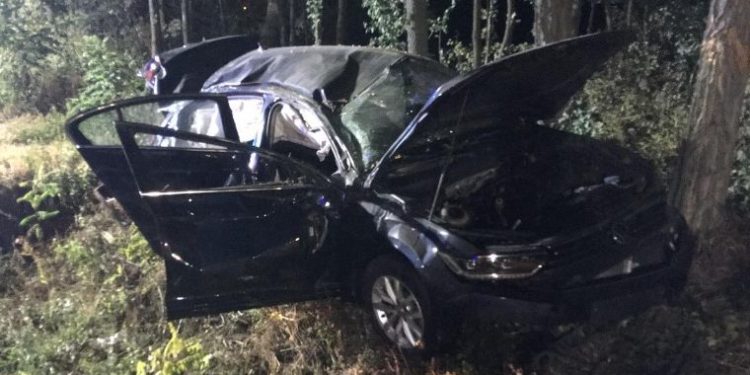 Auto zderzyło się z łosiem. Jedna osoba poważnie ucierpiała