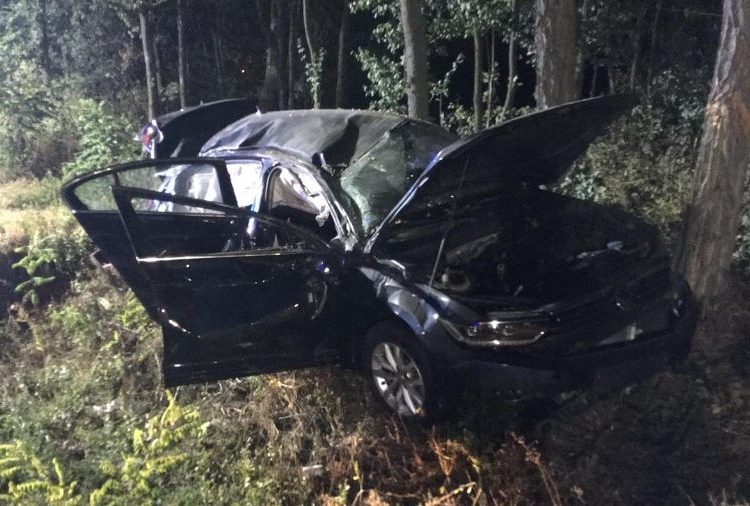 Auto zderzyło się z łosiem. Jedna osoba poważnie ucierpiała