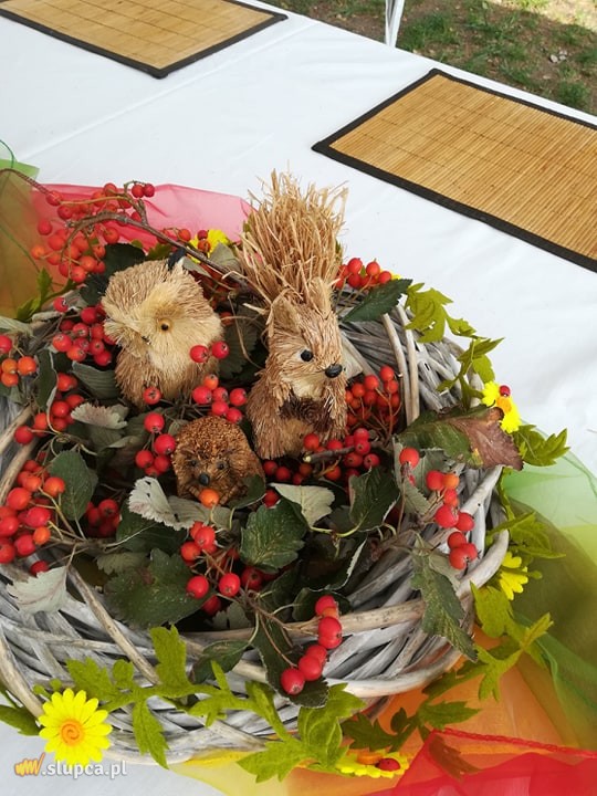 Święto Ziemniaka w Gółkowie