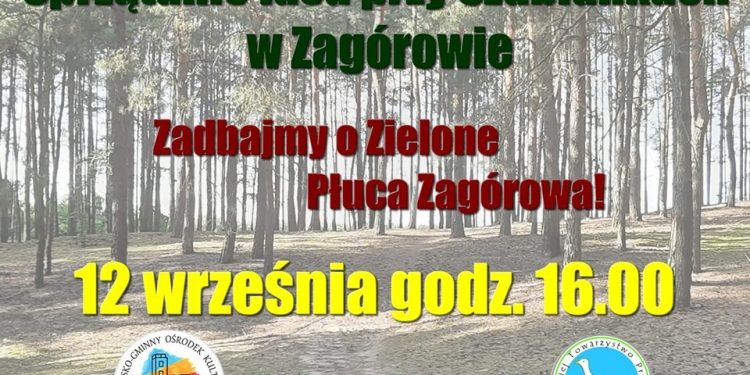 Posprzątaj zagórowskie Szubianki