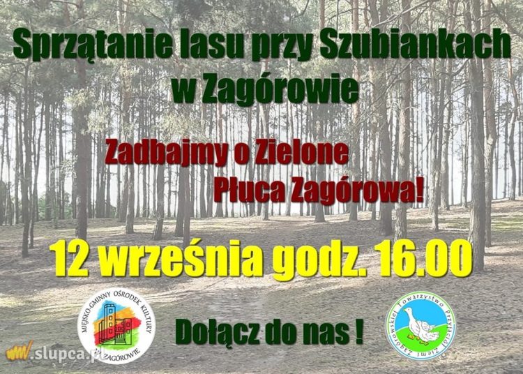 Posprzątaj zagórowskie Szubianki