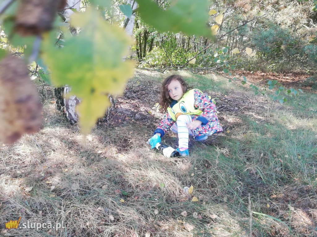 Mali Odkrywcy sprzątali świat