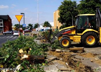 Wycinka drzew na Sikorskiego. Starostwo informuje