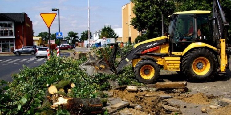 Wycinka drzew na Sikorskiego. Starostwo informuje