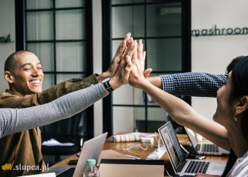 Dlaczego warto pozycjonować strony internetowe