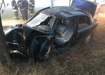 Uderzyła w drzewo, była uwięziona w aucie ZDJĘCIA