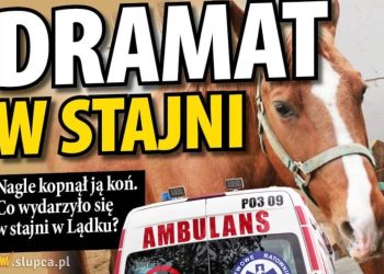 Właściciel konia nie usłyszał zarzutów