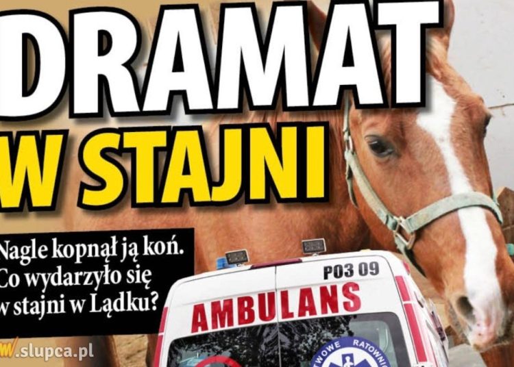 Właściciel konia nie usłyszał zarzutów