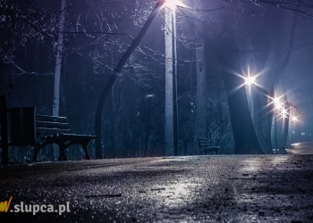 „Ma tatuaż z pajęczyną na twarzy i zaczepia kobiety” Uważajcie!