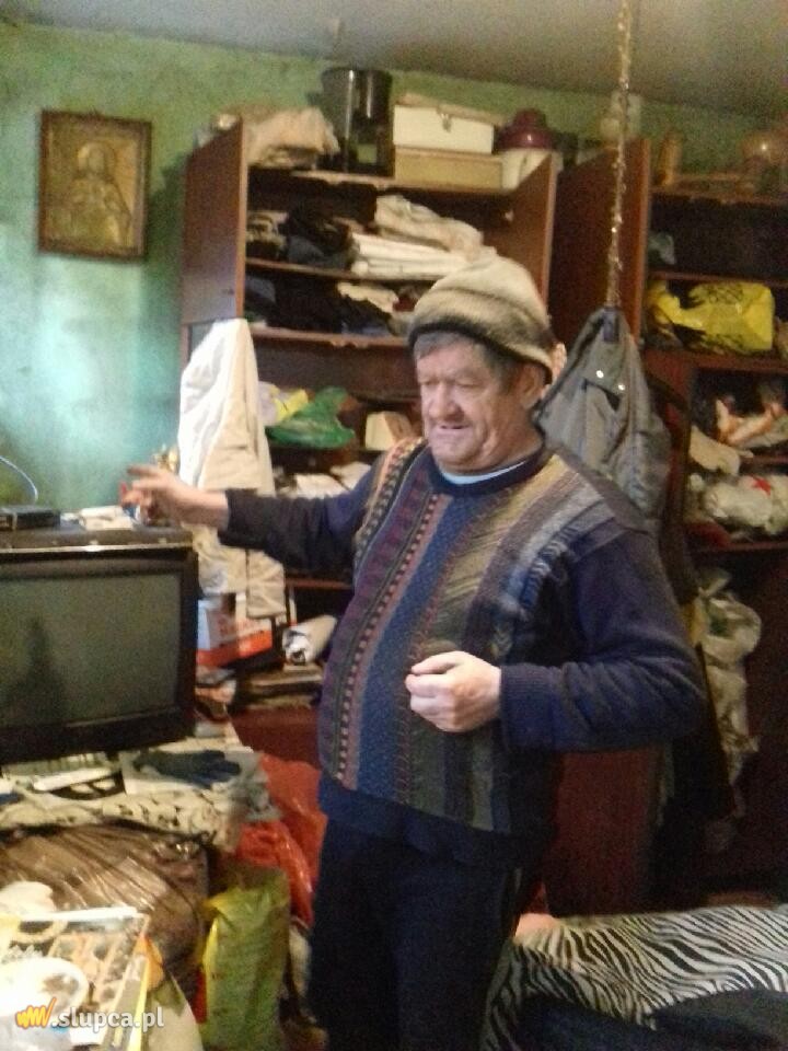 Kotunia we Wrocławiu